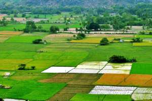 Telangana Revises Land Values: Agricultural Land Rates Jump to Rs 2.75 Lakh Per Acre