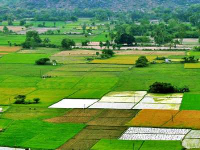 Telangana Revises Land Values: Agricultural Land Rates Jump to Rs 2.75 Lakh Per Acre
