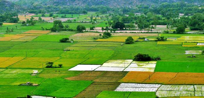 Telangana Revises Land Values: Agricultural Land Rates Jump to Rs 2.75 Lakh Per Acre