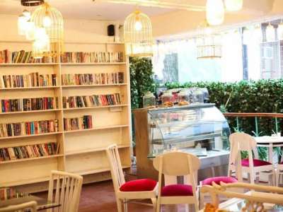 Why Book Cafes Are Becoming the Third Space for a Digital Generation