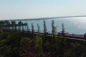 Committee Submits Report on GO 111 Development with Focus on Environmental Protection
