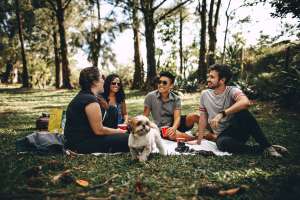 International Friendship Day: Why Some Friendships Feel Like Home
