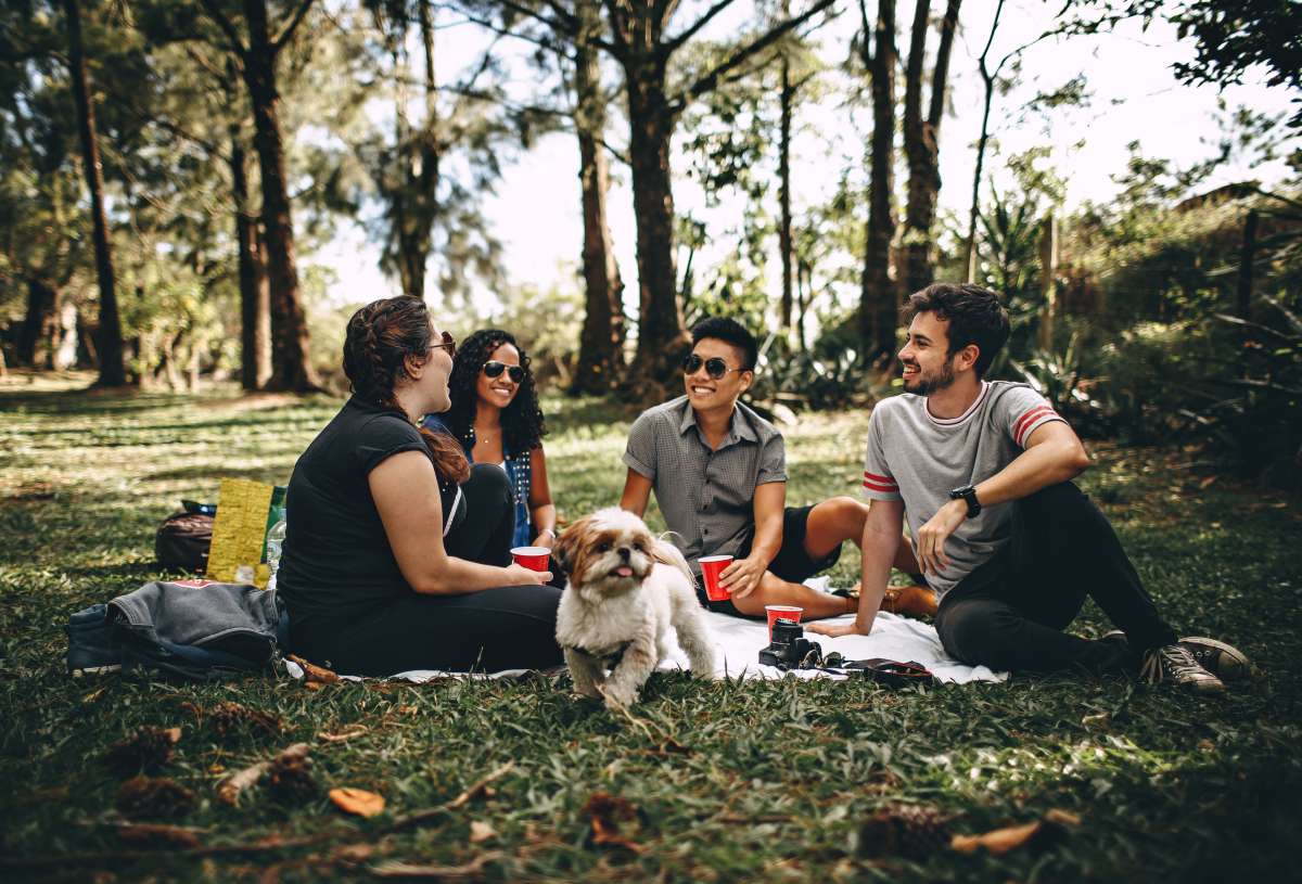 International Friendship Day: Why Some Friendships Feel Like Home