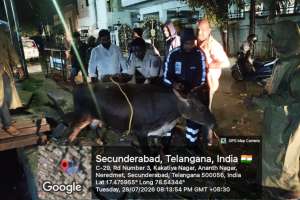 Hydra Relief Teams Work Through Heavy Rain to Clear Flooded Telangana Roads