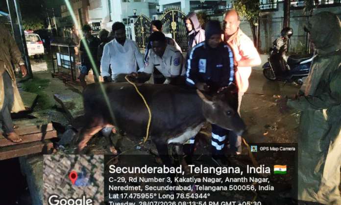 Hydra Relief Teams Work Through Heavy Rain to Clear Flooded Telangana Roads