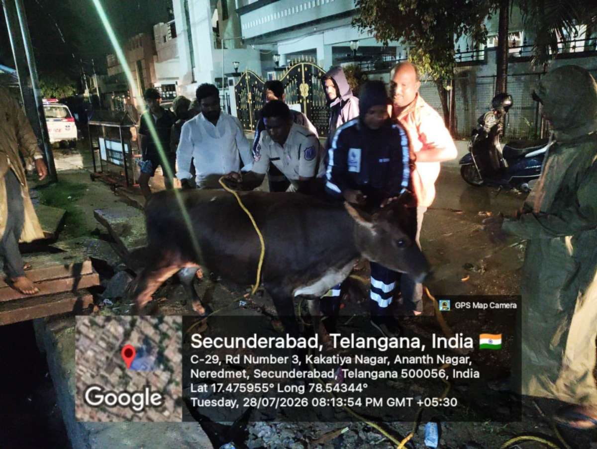 Hydra Relief Teams Work Through Heavy Rain to Clear Flooded Telangana Roads