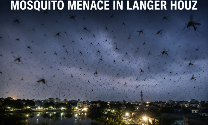 Terrible Mosquito Menace Reported in Langer Houz as Residents Raise Concerns