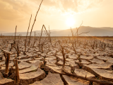 El Nino to Hit Telangana with Significant Reduction in Rains from August 27