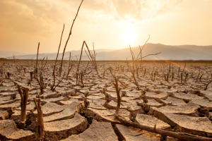 El Nino to Hit Telangana with Significant Reduction in Rains from August 27