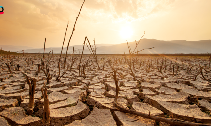 El Nino to Hit Telangana with Significant Reduction in Rains from August 27