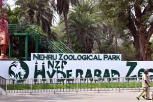 Hyderabad Zoo Entry Fee Hiked from August 1: Adult Ticket Now ₹120