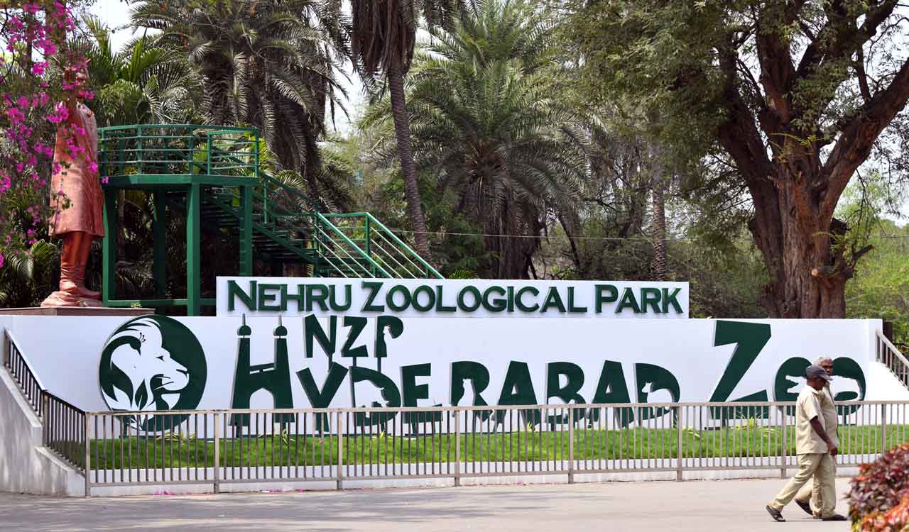 Hyderabad Zoo Entry Fee Hiked from August 1: Adult Ticket Now ₹120