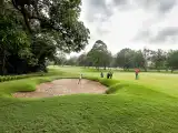 Telangana Plans Two World-Class Golf Courses to Boost Sports Tourism