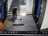 ChaddiGang suspects enter Neknampur apartment through staircase, escape with valuables