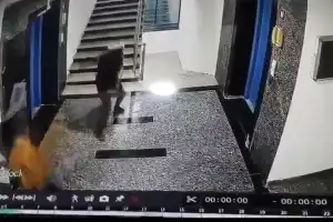 ChaddiGang suspects enter Neknampur apartment through staircase, escape with valuables