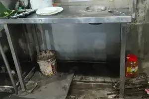 Food Safety Officials Cancel Licenses of Hyderabad Hotels Over Pest and Hygiene Issues