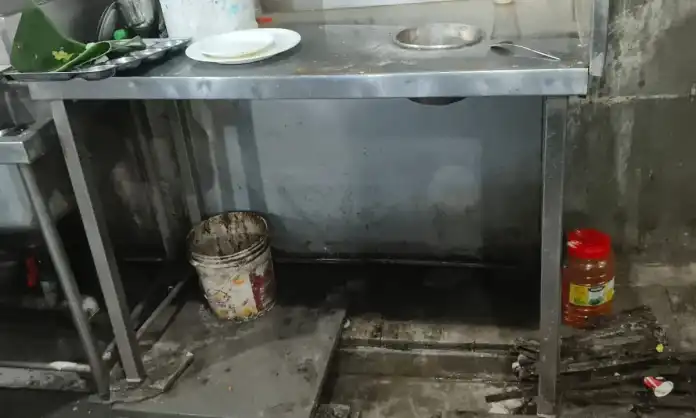 Food Safety Officials Cancel Licenses of Hyderabad Hotels Over Pest and Hygiene Issues