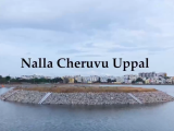 HYDRAA transforms Uppal Nalla Cheruvu into recreational lake, inauguration set for November
