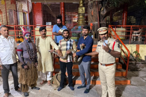 Indian Rock Python Rescued from Dance Group During Ganesh Immersion in Hyderabad