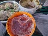 Telangana Food Safety Raids Expose Spoiled Meat, Rodents at 23 Establishments