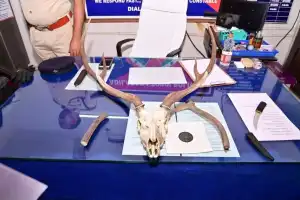 Adilabad Police Arrest 34-Year-Old Plumber in Illegal Deer Hunting Case