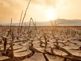 No Water For Crops, Power Cuts Likely As El Nino Worsens In Telangana