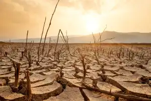 No Water For Crops, Power Cuts Likely As El Nino Worsens In Telangana