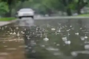 Telangana Rain Alert: Thunderstorms Likely In Warangal, Nalgonda, Medak, Rangareddy From Friday Evening