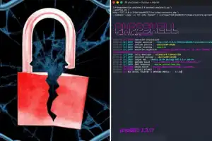 Up to 70% of Websites Vulnerable to New Security Hole — Some Countries Take Sites Offline